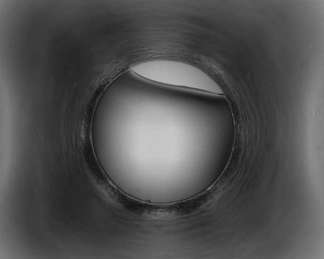 X0000086910546200704161011