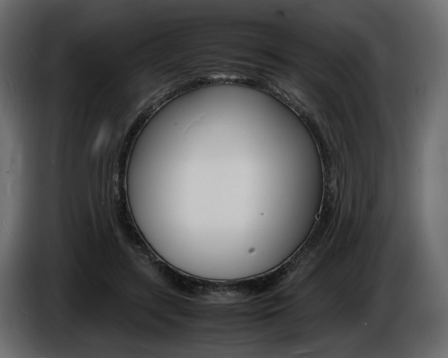 X0000086910547200704161011