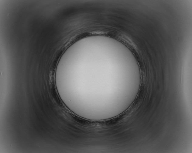 X0000086910549200704161011
