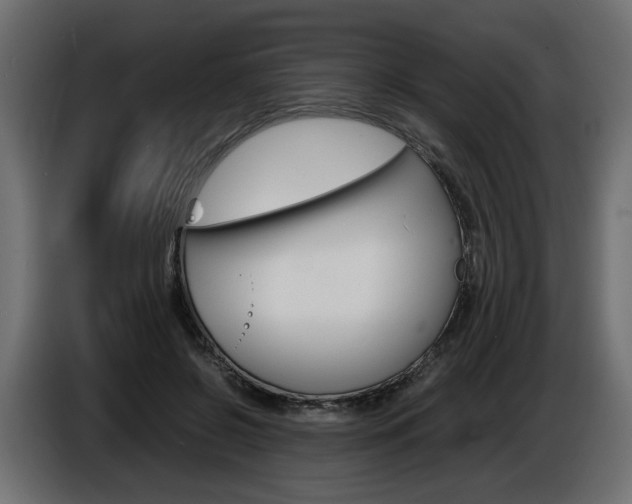 X0000086910550200704161011