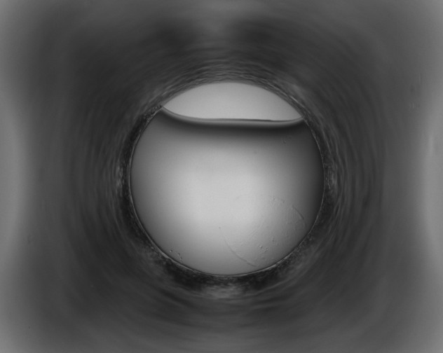 X0000086910551200704161011