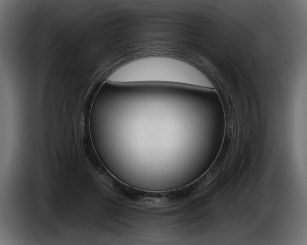 X0000086910552200704161011