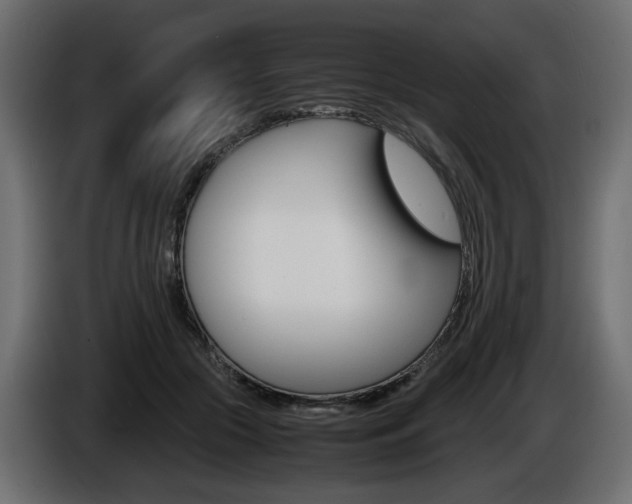 X0000086910553200704161011