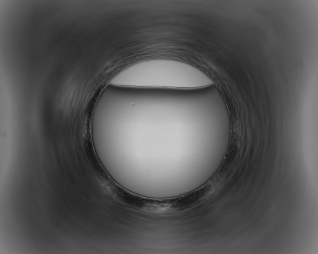 X0000086910554200704161011