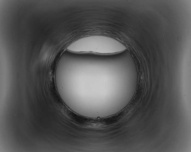 X0000086910555200704161011