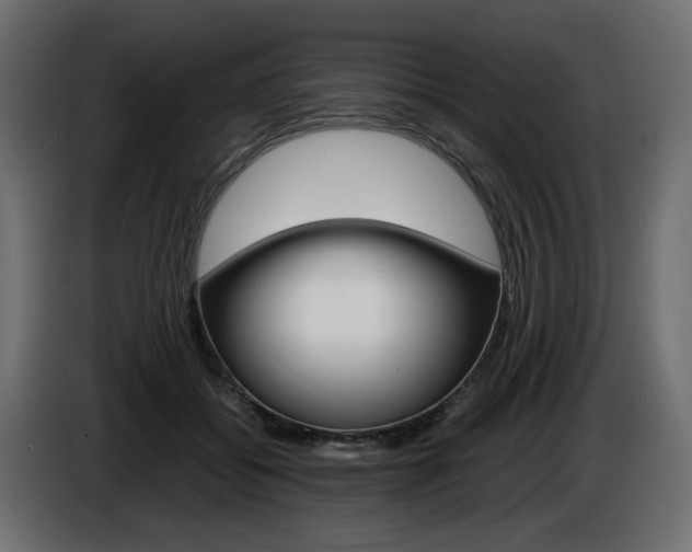 X0000086910556200704161011