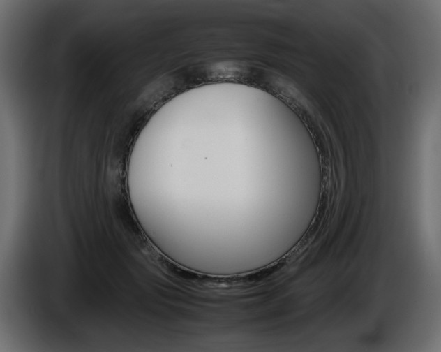 X0000086910557200704161011