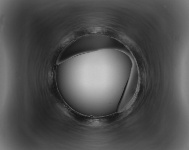 X0000086910558200704161011