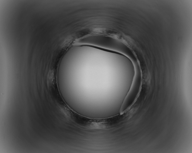 X0000086910560200704161011