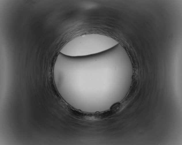X0000086910561200704161011