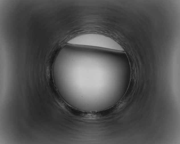 X0000086910562200704161011