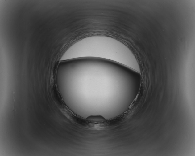 X0000086910564200704161011