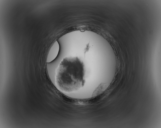 X0000086910565200704161011