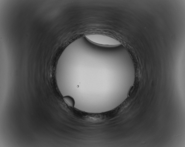 X0000086910567200704161012