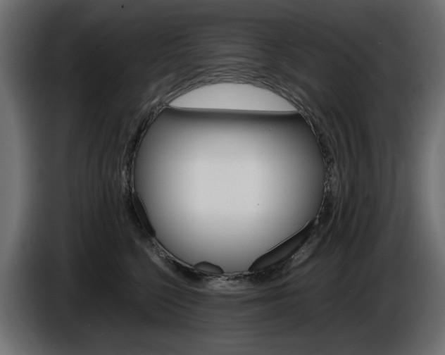 X0000086910568200704161012