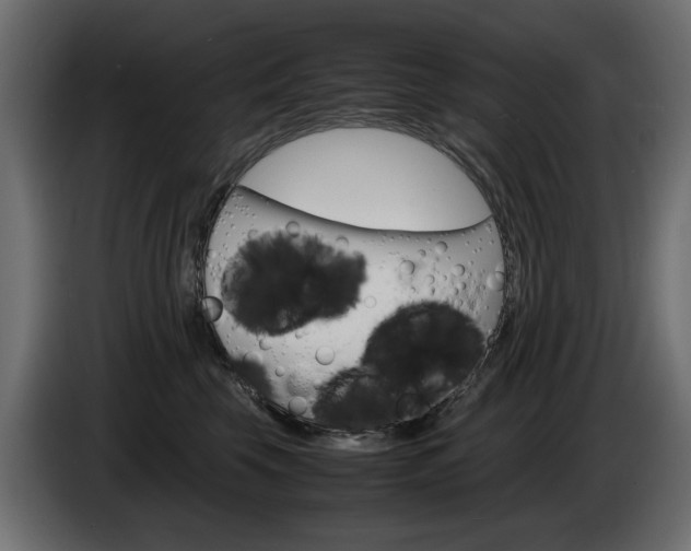 X0000086910569200704161012