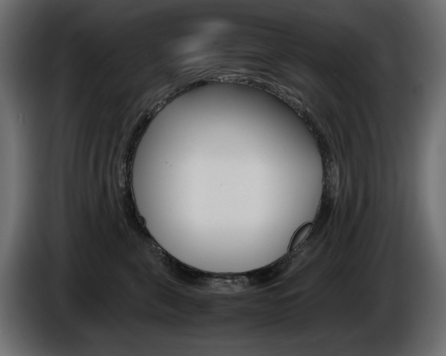 X0000086910571200704161012