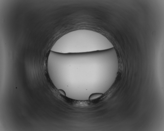 X0000086910573200704161012