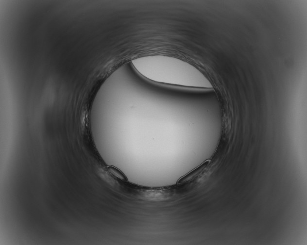 X0000086910574200704161012