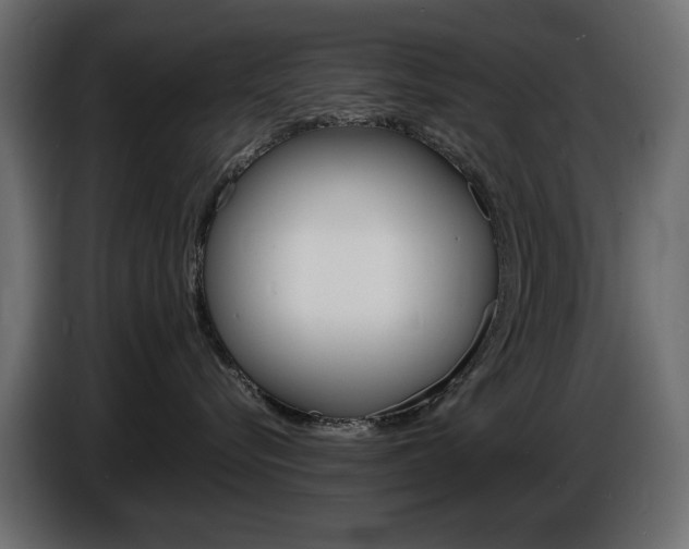 X0000086910576200704161012