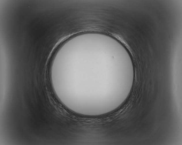 X0000086910579200704161011