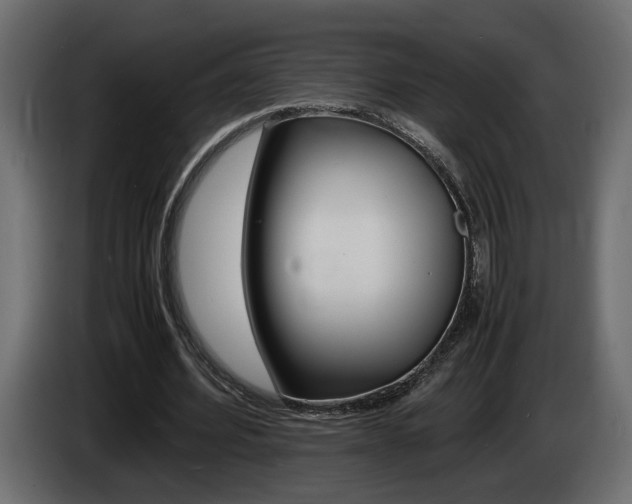 X0000086910580200704161011