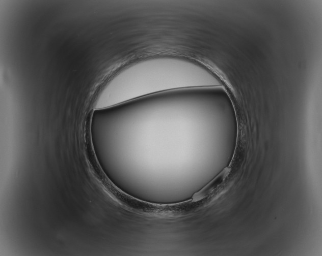 X0000086910581200704161011