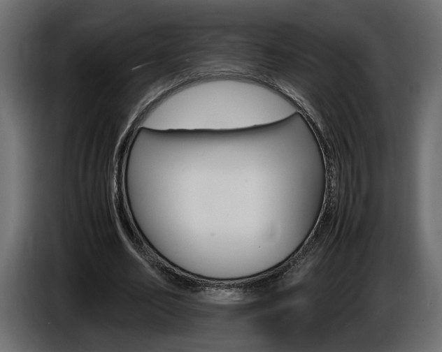 X0000086910582200704161011