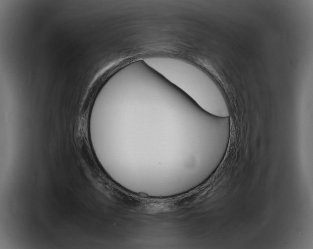 X0000086910583200704161011