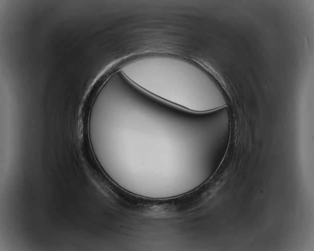 X0000086910584200704161011