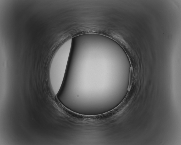 X0000086910585200704161011