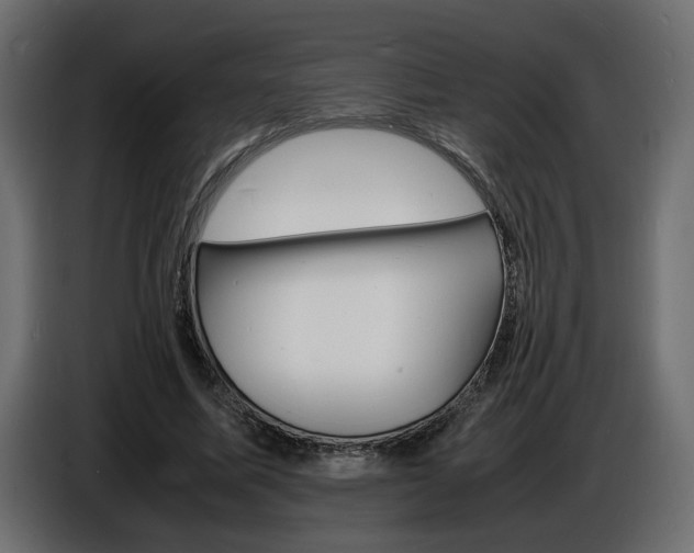 X0000086910587200704161011