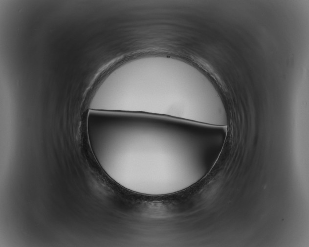 X0000086910588200704161011
