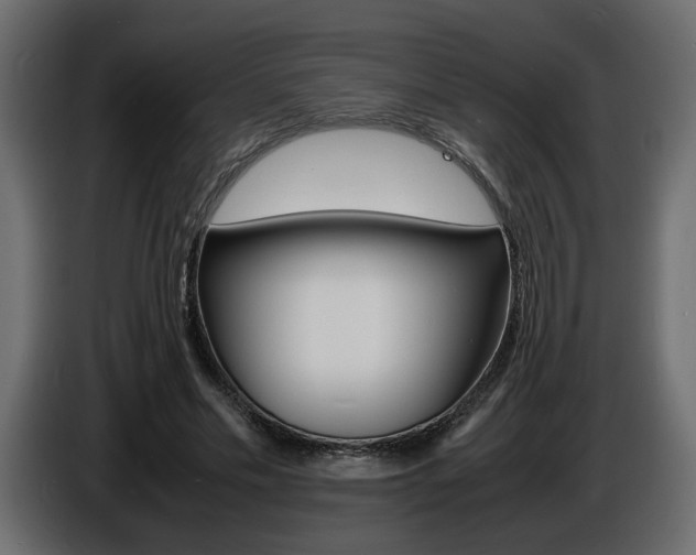 X0000086910589200704161011