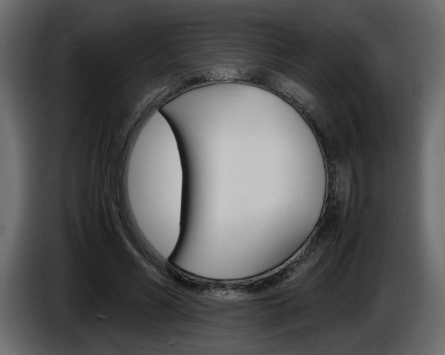 X0000086910590200704161011