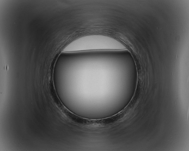 X0000086910593200704161011