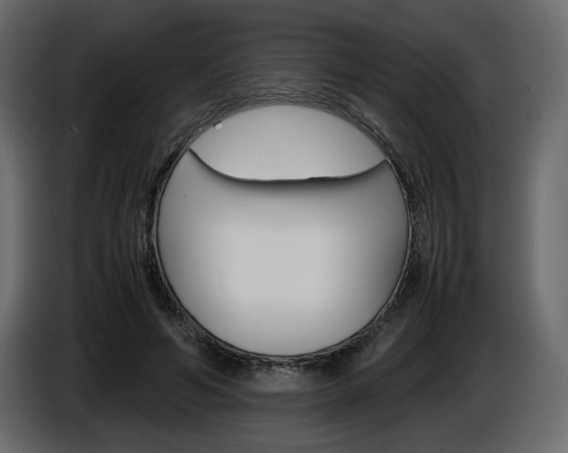 X0000086910594200704161011