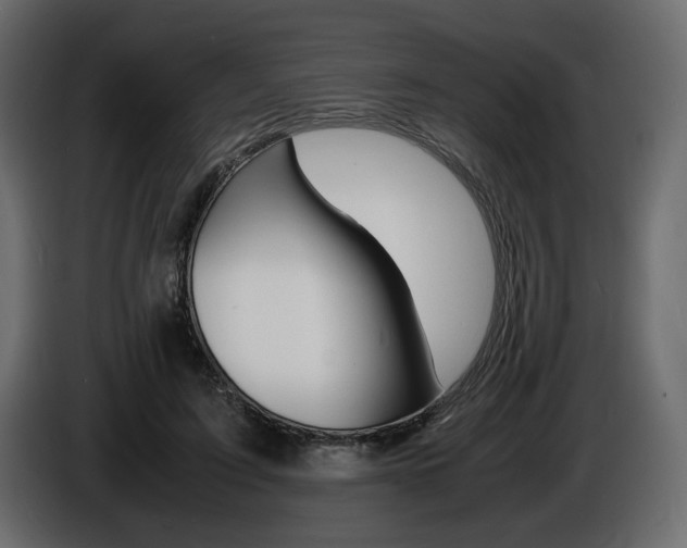 X0000086910595200704161011