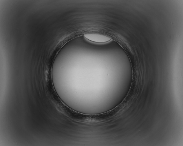 X0000086910596200704161011