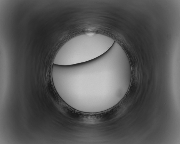 X0000086910598200704161011
