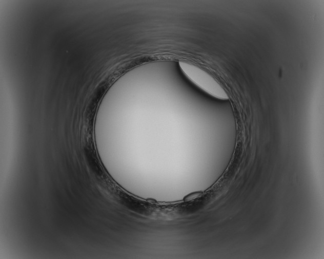 X0000086910599200704161011