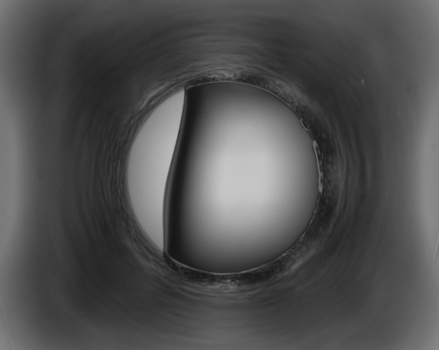 X0000086910600200704161011