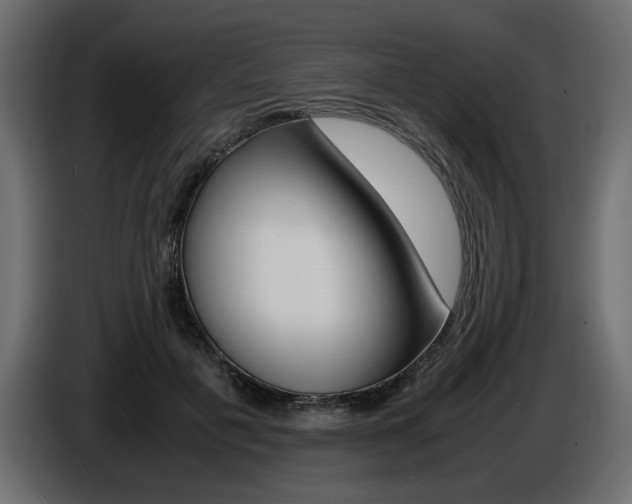 X0000086910601200704161011