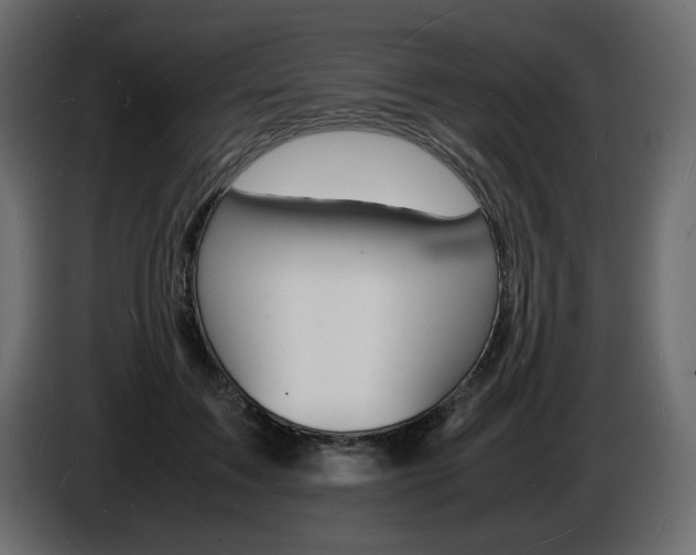 X0000086910603200704161011
