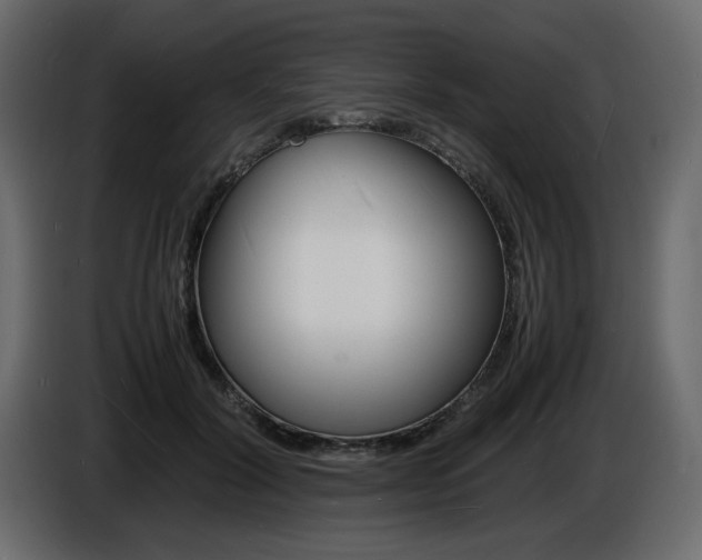 X0000086910604200704161011