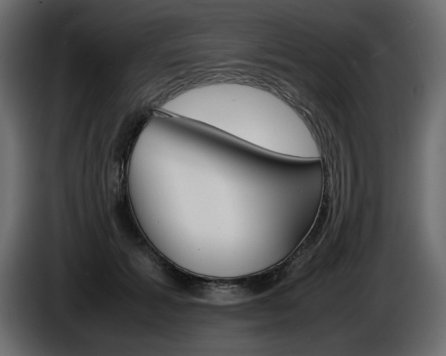 X0000086910605200704161011