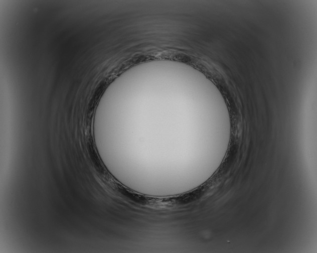 X0000086910607200704161011