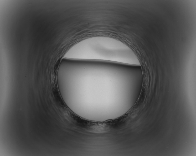 X0000086910609200704161010