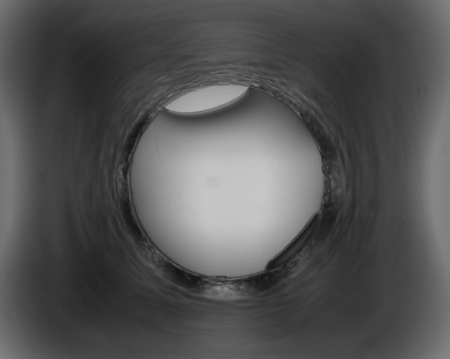 X0000086910611200704161010