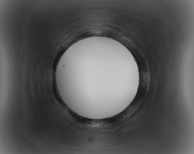 X0000086910612200704161010
